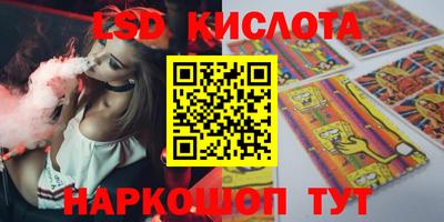 дживик Можга