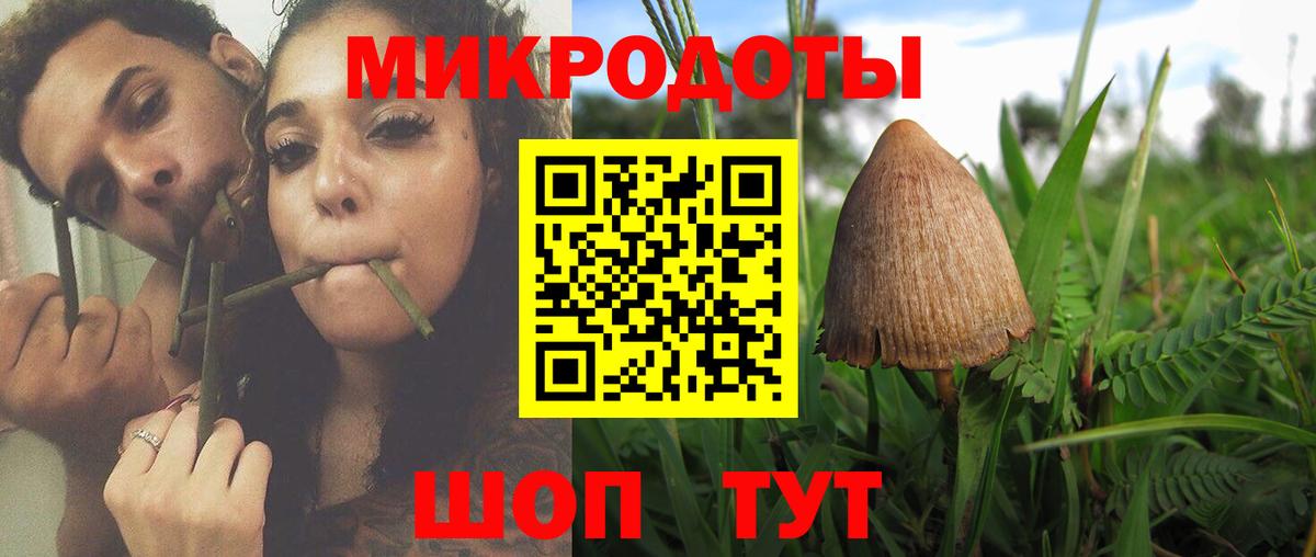 Галлюциногенные грибы GOLDEN TEACHER Урай