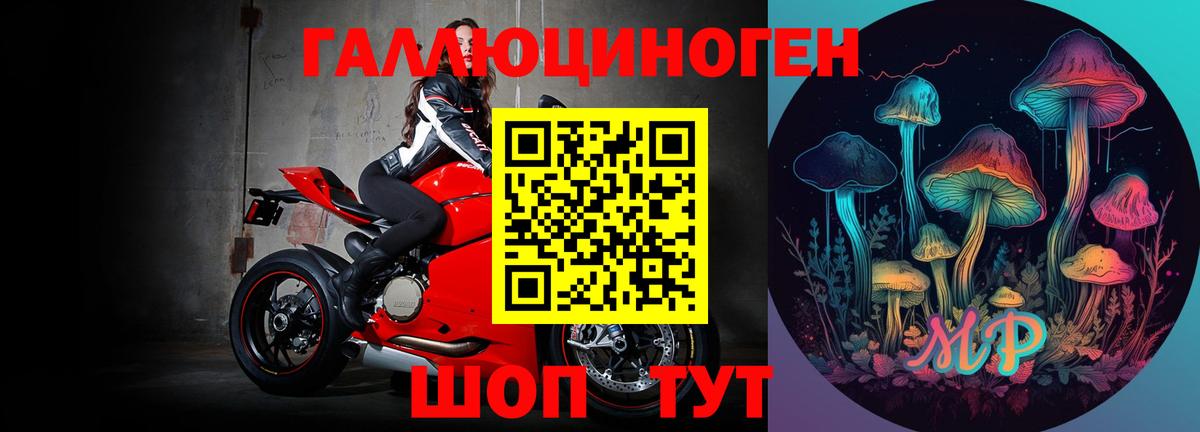 Урай  Псилоцибиновые грибы Psilocybe  Вход с VPN 